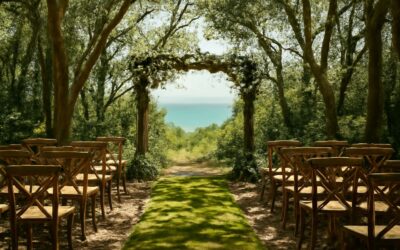 Enchanting forest wedding venue garden route for your dream outdoor vows